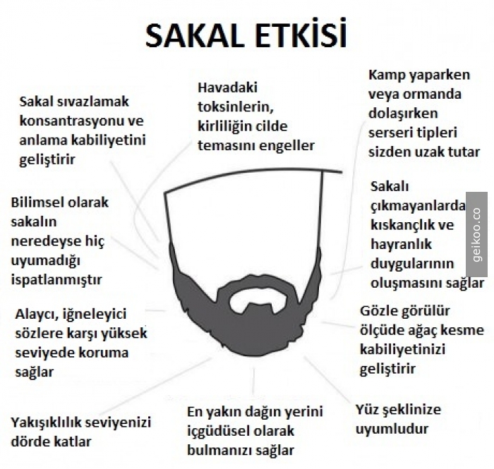 138812921552bd2bbf8ee63_big.jpg