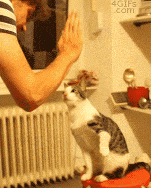 1397133363534690335e5be.gif