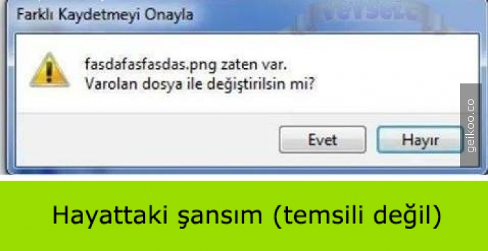 142092628754b19d4fd13d4_big.jpg