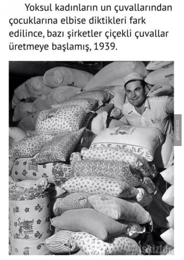 142712771455103da2d91ed_big.jpg