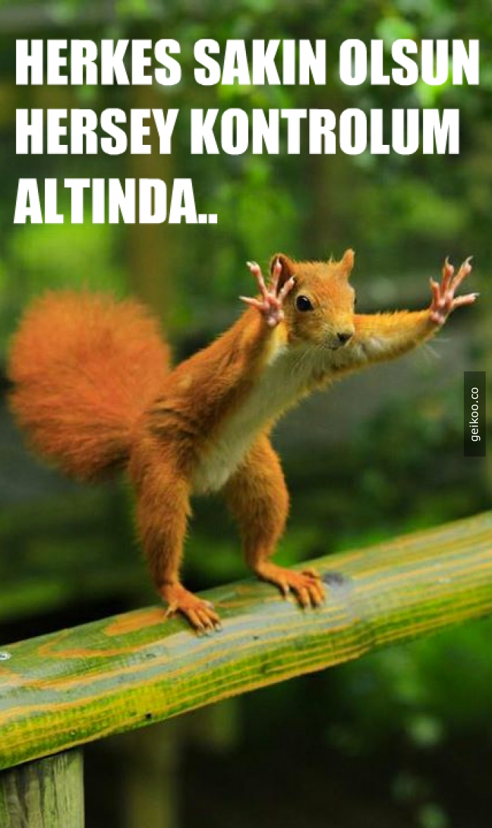 Yurtd��� tatili vir�se tak�ld�