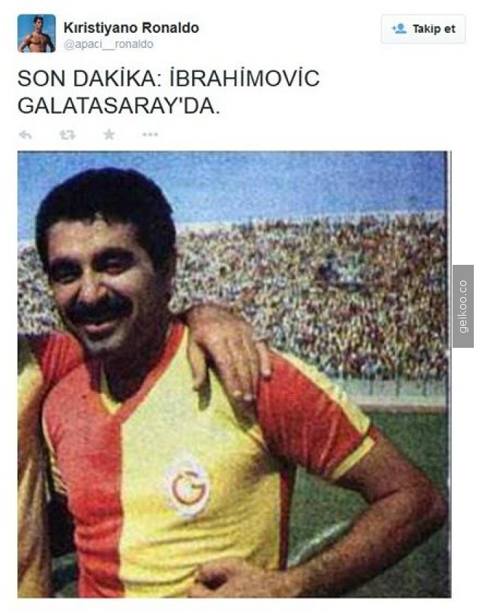 14346260815582a8213af18_big.jpg